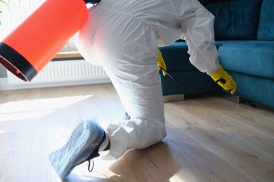 Fumigation Service in Toledo, OH