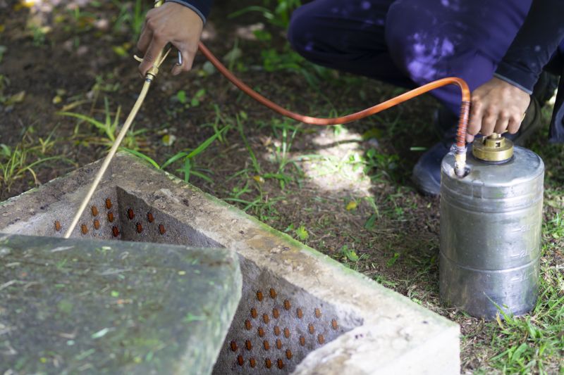 Roach Fumigation in Fort Collins, CO