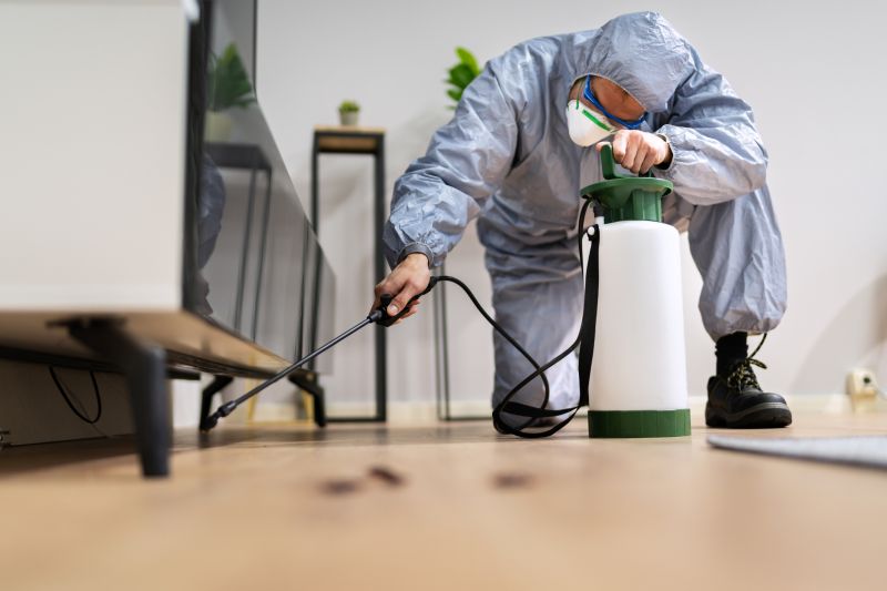Roach Fumigation in Katy, TX