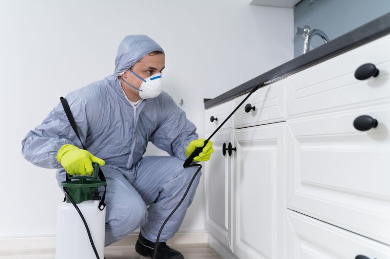 Signs You Need Professional General Pest Control Services