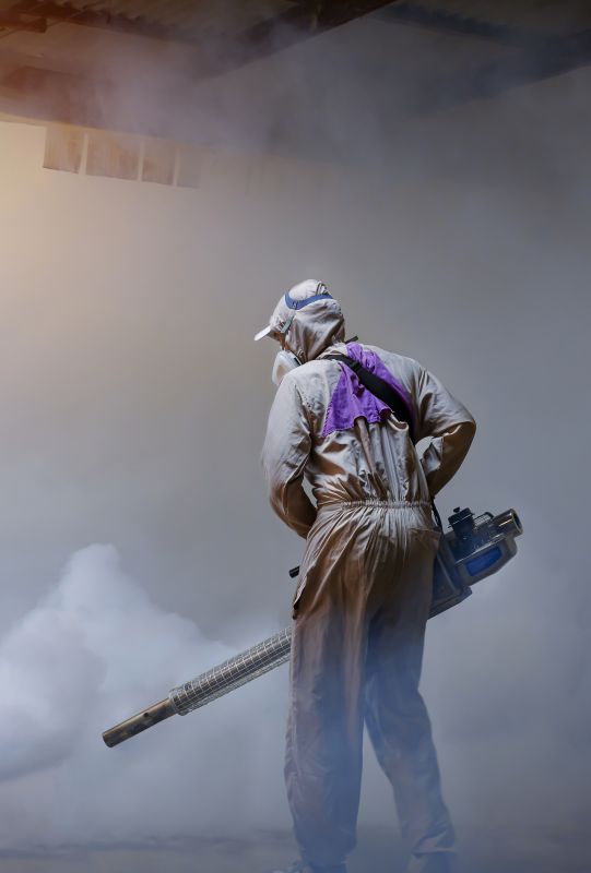 Spider Fumigation Service in Wilmington, NC