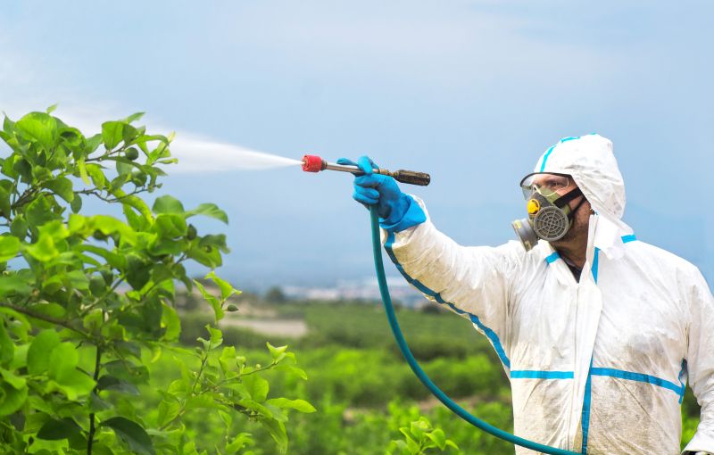 Spider Fumigation Service in Columbus, OH