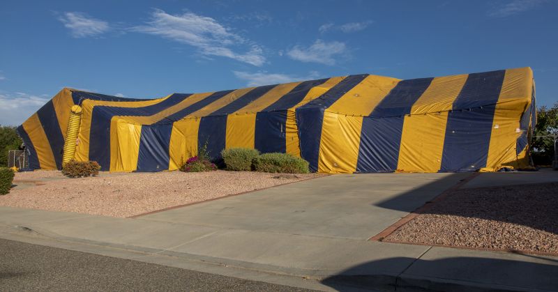 Termite Tenting in Columbus, OH
